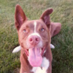 Meet your Posher, Lindsay